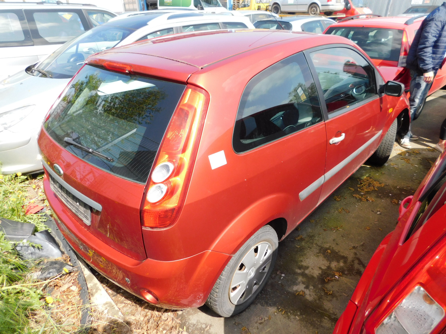 Tango metallic ford